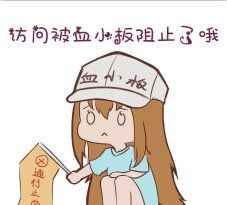 NPC-苏茜半果-往生堂的资源库