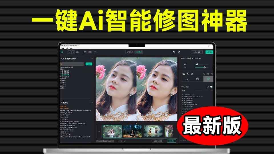 PerfectlyClearWorkbench-自动AI修图-往生堂的资源库