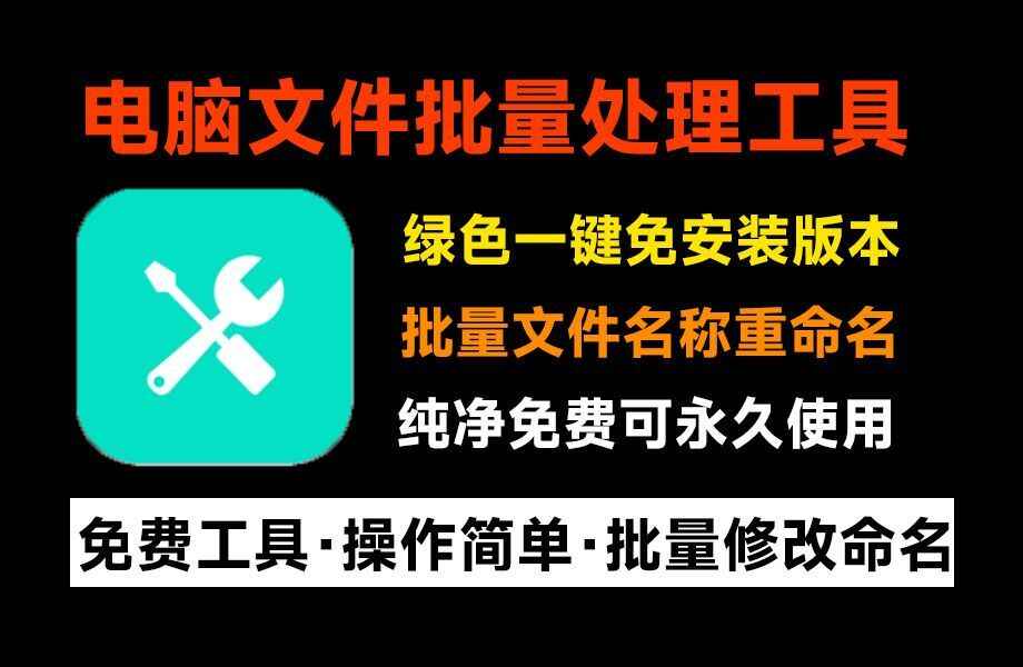 Renamer-批量文件重命名软件-往生堂的资源库