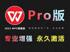 WPS2023专业增强版--激活优化版-往生堂的资源库