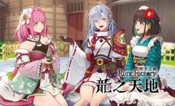 《符文工房：龙之天地》-往生堂的资源库