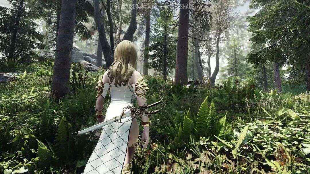 《上古卷轴5》星黎轻量Mod整合版-往生堂的资源库